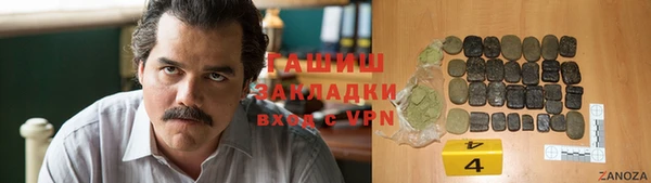 СК Алексин