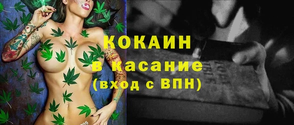 СК Алексин