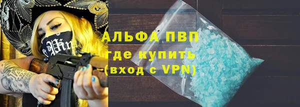 СК Алексин