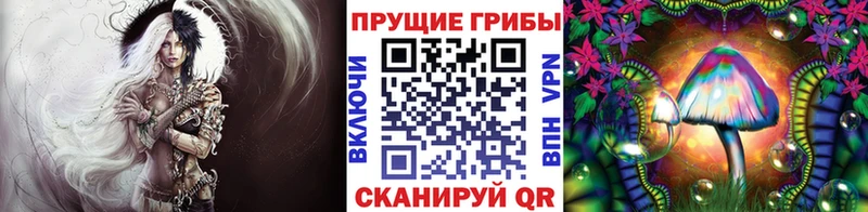 Псилоцибиновые грибы мухоморы  Сургут 